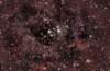 nebulosa_rosetta_20061223_2110_amad_20x4m_canon20d_small.jpg
